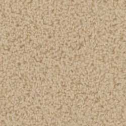Royalty Carpet Montecito 0001 Sandpaper