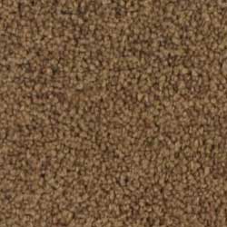 Royalty Carpet Painted Desert 0001 Petrified Wood