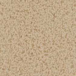 Royalty Carpet Santa Barbara 0001 Sandpaper