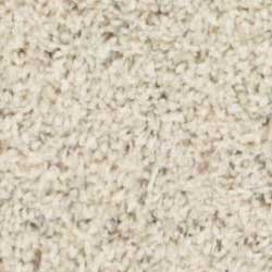Royalty Carpet Tender Touch Berber 0001 Lace