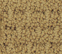 Masland Carpet Cartesian