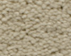 Masland Carpet Casbah