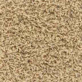 Royalty Carpet Affluent Berber 001B Separate