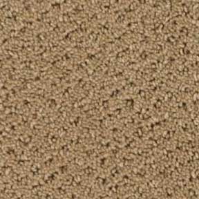 Royalty Carpet Brentwood II 0201 Dainty Ave