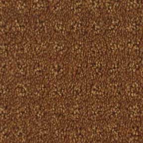 Royalty Carpet Cambria 0001 Sunbaked