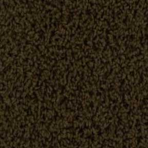 Royalty Carpet Casual Living 0001 Forest Glen