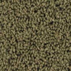 Royalty Carpet Contender 0001 Carolina Pines