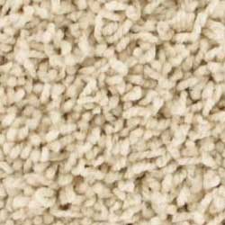 Royalty Carpet Contessa 0101 Respectful