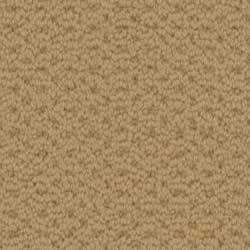 Royalty Carpet Country Squire 0001 Fine Satin