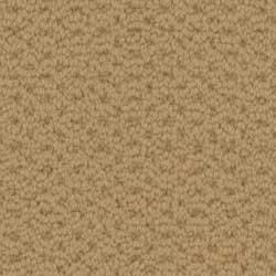 Royalty Carpet Country Squire 0001 Fine Satin