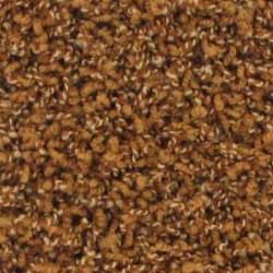 Royalty Carpet Enchantment 0001 Successor