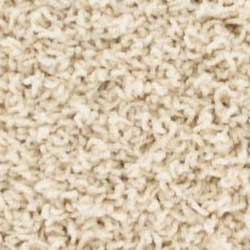 Royalty Carpet Fame 0001 Arctic White