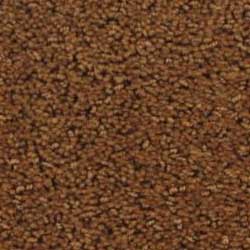Royalty Carpet King's Choice 0001 Bold