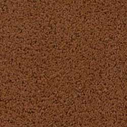 Royalty Carpet Love Song 0001 Twilight Time