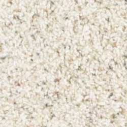 Royalty Carpet Paragon Berber 001B Rice Pudding