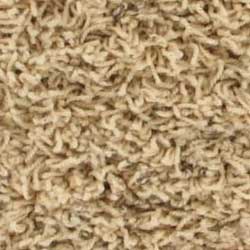 Royalty Carpet Prestige Berber 001B Separate