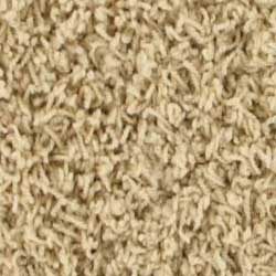 Royalty Carpet Prestige 0001 Pleasant