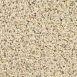 Royalty Carpet Pride Berber 031B Eleanor