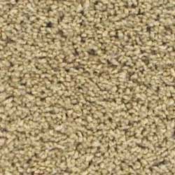 Royalty Carpet Regent Berber 001B Separate