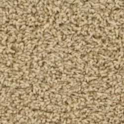 Royalty Carpet Regent 0001 Pleasant