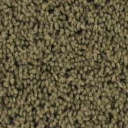 Royalty Carpet Rival 0001 Carolina Pines