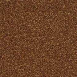 Royalty Carpet Sierra Madre 0001 Sunbaked