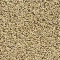Royalty Carpet Unique Berber 001B Separate