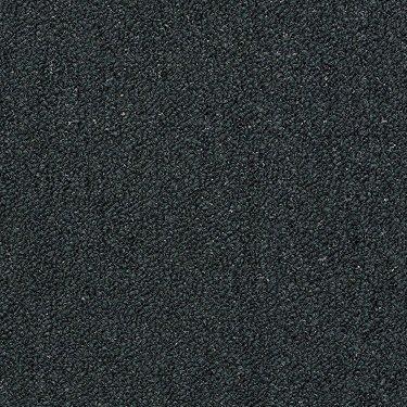 Shaw Philadelphia Commercial Carpet Mack 00010 Black Forest