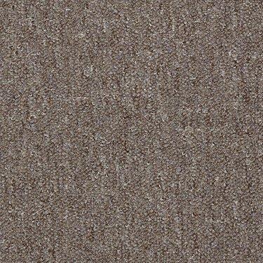 Shaw Philadelphia Commercial Carpet Mack 00031 Pecan