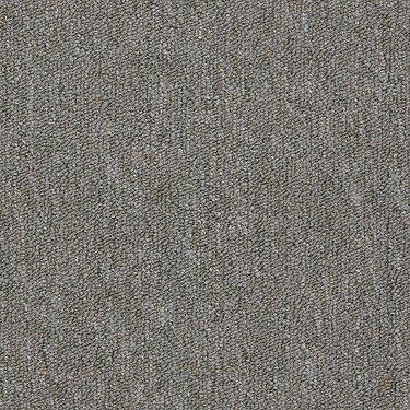 Shaw Philadelphia Commercial Carpet Neyland-II 30354 Willow Wisp