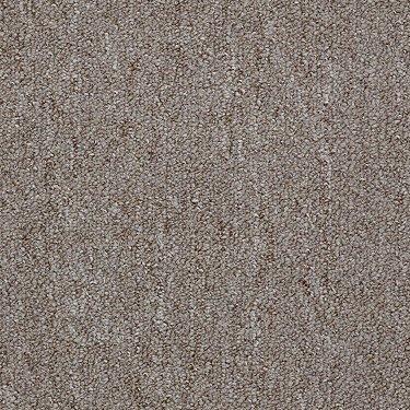 Shaw Philadelphia Commercial Carpet Neyland-II 30750 Coffee Frost