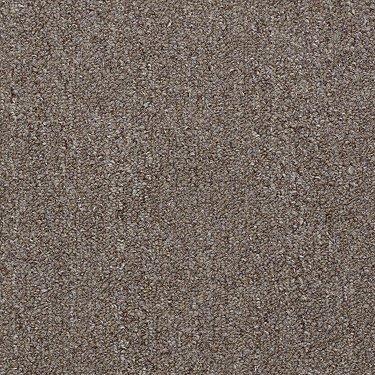 Shaw Philadelphia Commercial Carpet Neyland-II 30753 Park Bench