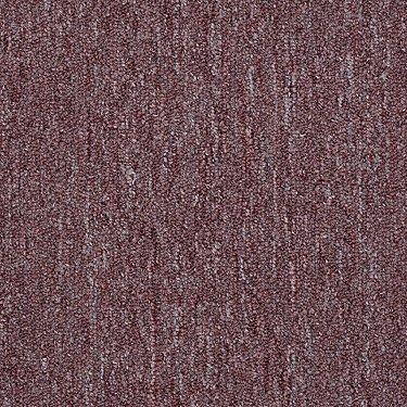 Shaw Philadelphia Commercial Carpet Neyland-II 30852 Mayflower