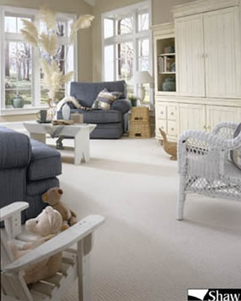 Shaw Carpet Tile Flooring