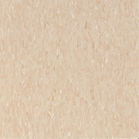 Armstrong VCT Tile 51873 Brushed Sand
